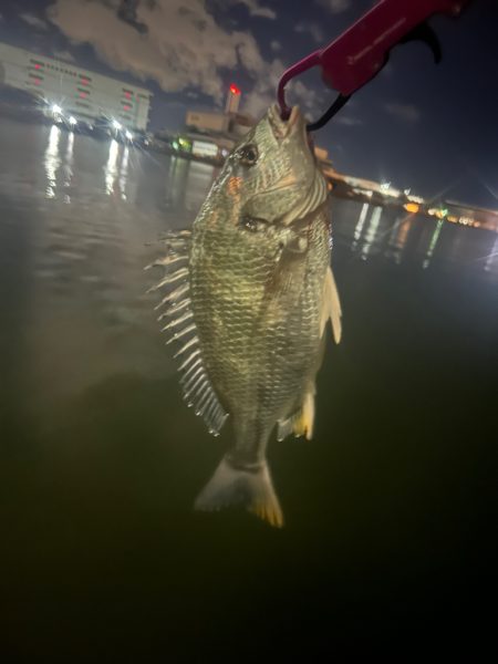 ホーム河川のウェーディング