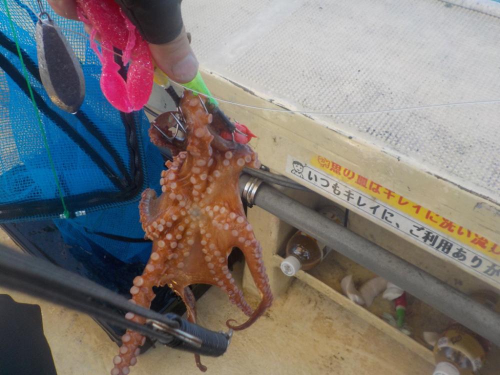 タコ今シーズン最終戦〜盛和丸〜