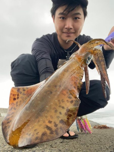 熊本県エギング釣行記