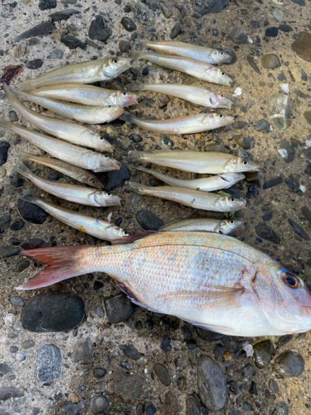 ウルトラライトキス