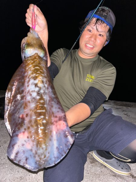 夏イカ調査ナイト実践