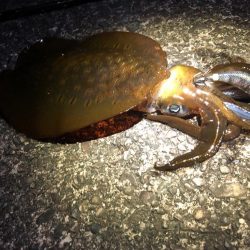 【尾鷲エリア】三重県遠征(7月クリア)