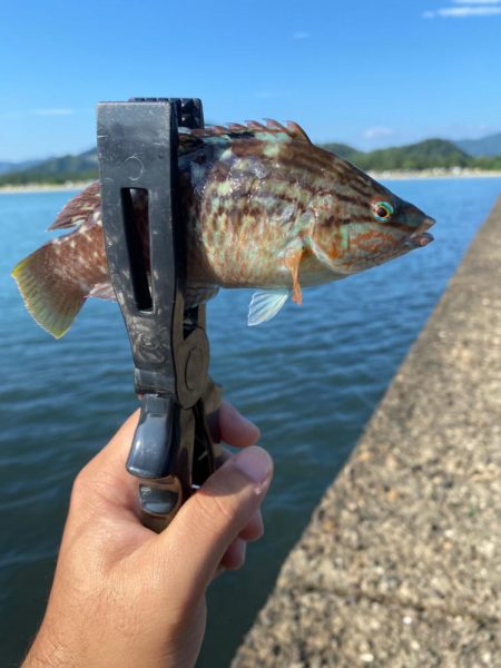 ちょい投げライトキスゲーム④