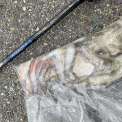 強風の中のタコ釣り