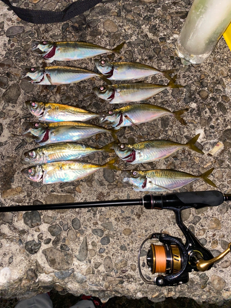 フロートアジングギリ2桁