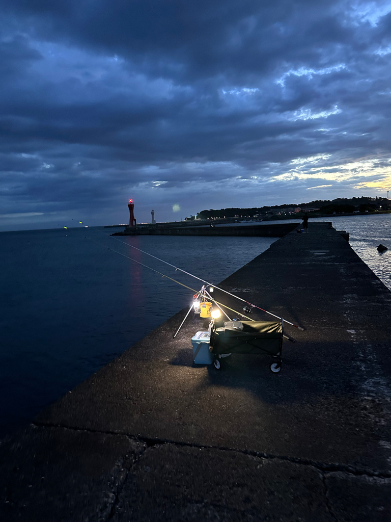 夜釣り、キス狙い