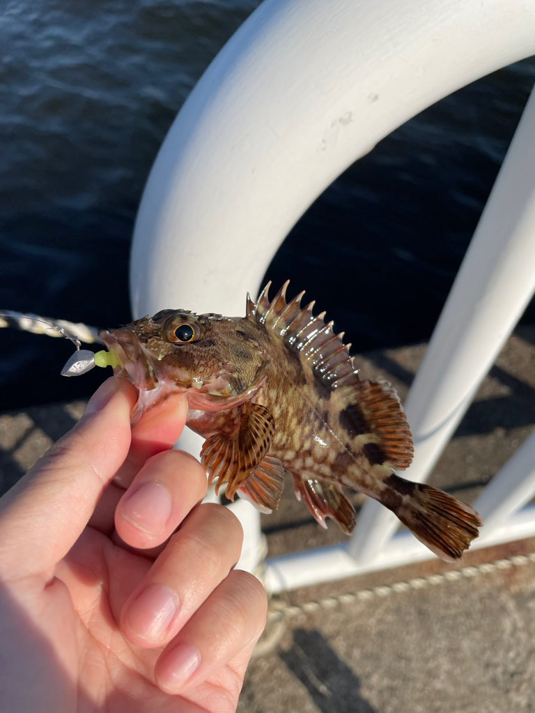 Newロッド入魂式