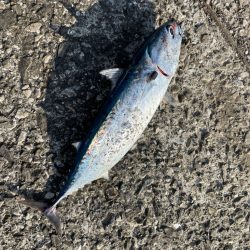 30分で4本〜♪♪