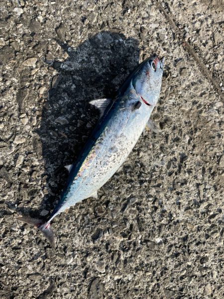 30分で4本〜♪♪