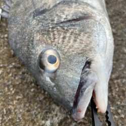 まさかの、、、！