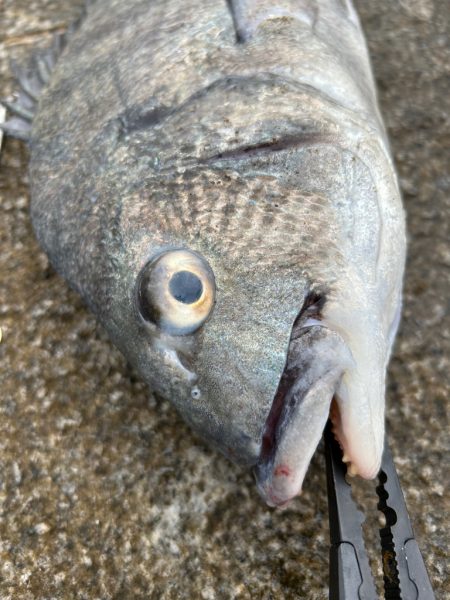 まさかの、、、！