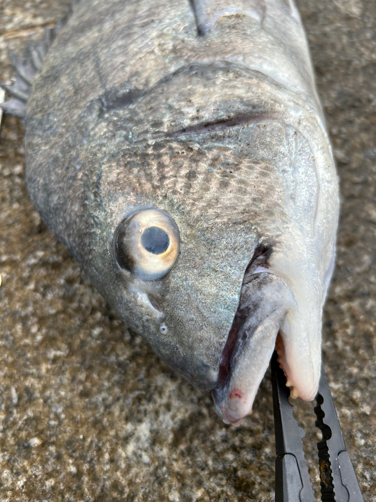 まさかの、、、！