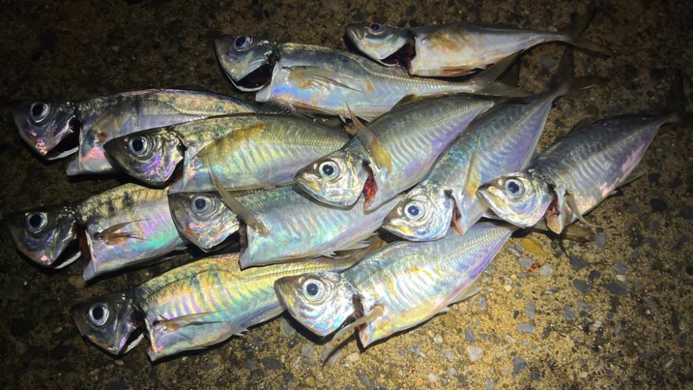 ショートバイト