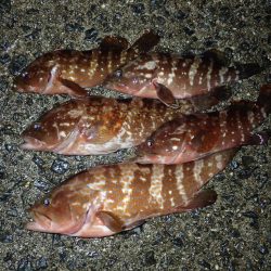 ワインドの爆発力がヤバかった！