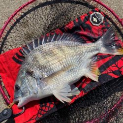 ヘチってきました