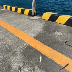 キス釣り入れ食い