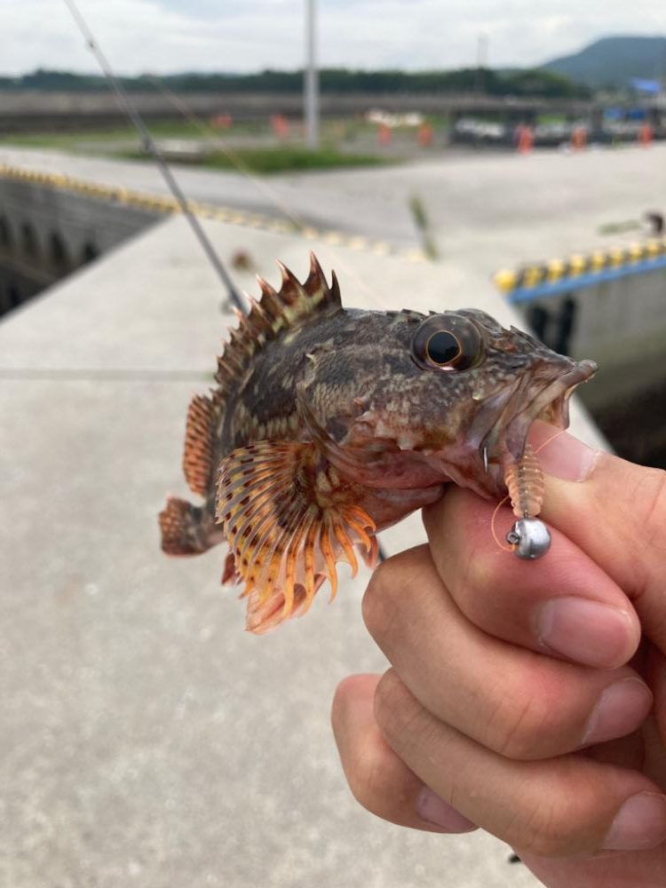 デイガシリング