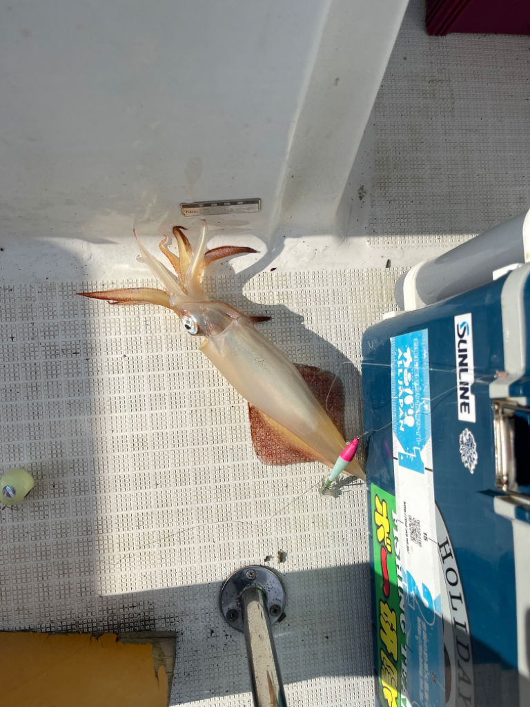 大雨前のマイボート釣行