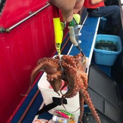 神戸二見沖のタコ釣り