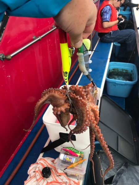 神戸二見沖のタコ釣り