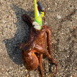 ⭐︎冷凍庫問題