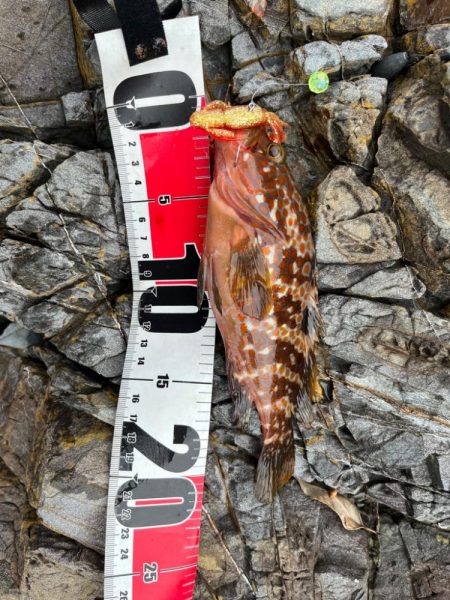 小浜ライトゲーム