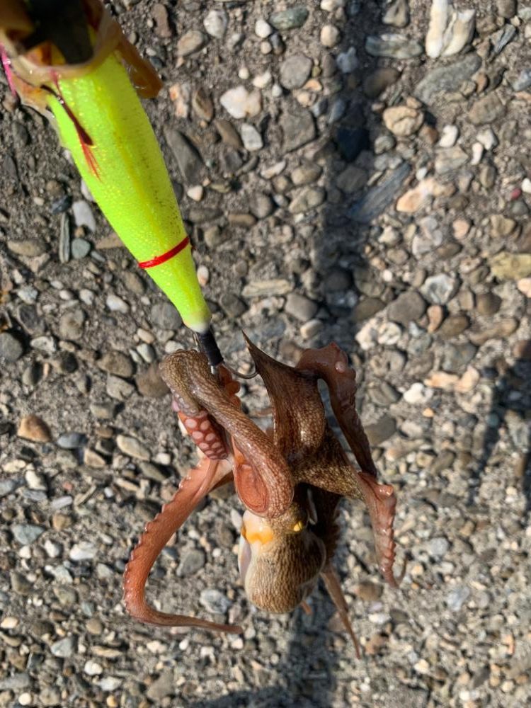 激渋の中、何とか!