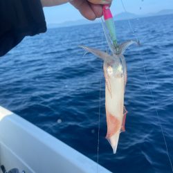 若狭湾マイボート鯖だらけ