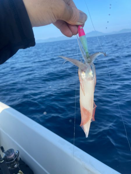 若狭湾マイボート鯖だらけ