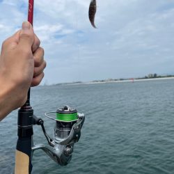 デイアジングだけど