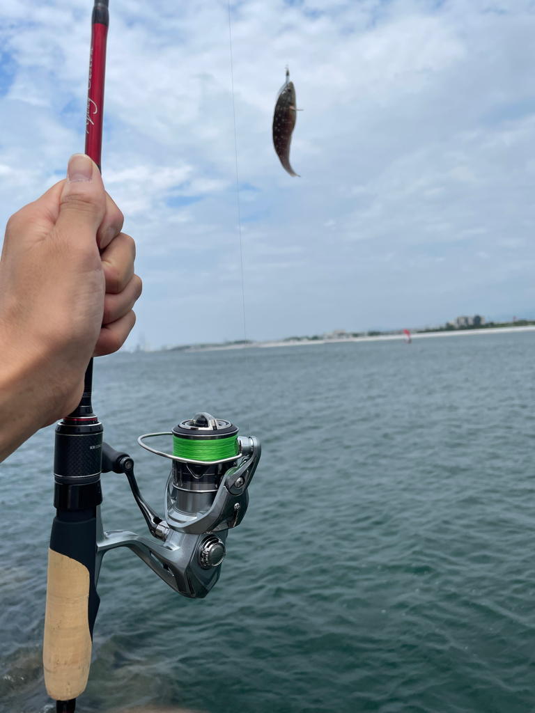 デイアジングだけど