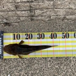 幸先は良かったが…