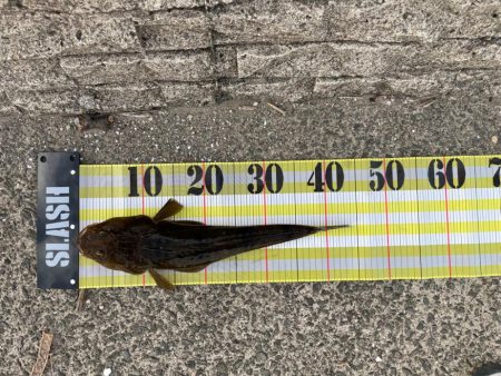 幸先は良かったが…