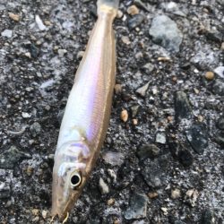 五目ちょい投げ