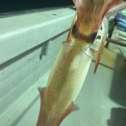 一年ぶりのリベンジ失敗⤵︎