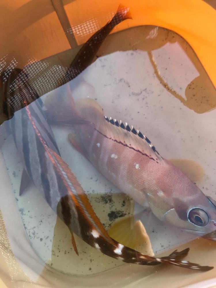 南紀の堤防でのんびり