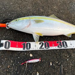 ネイリはどこ？