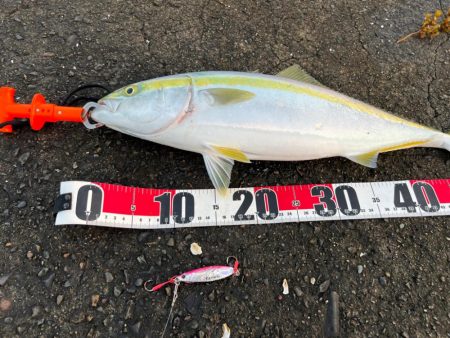 ネイリはどこ？