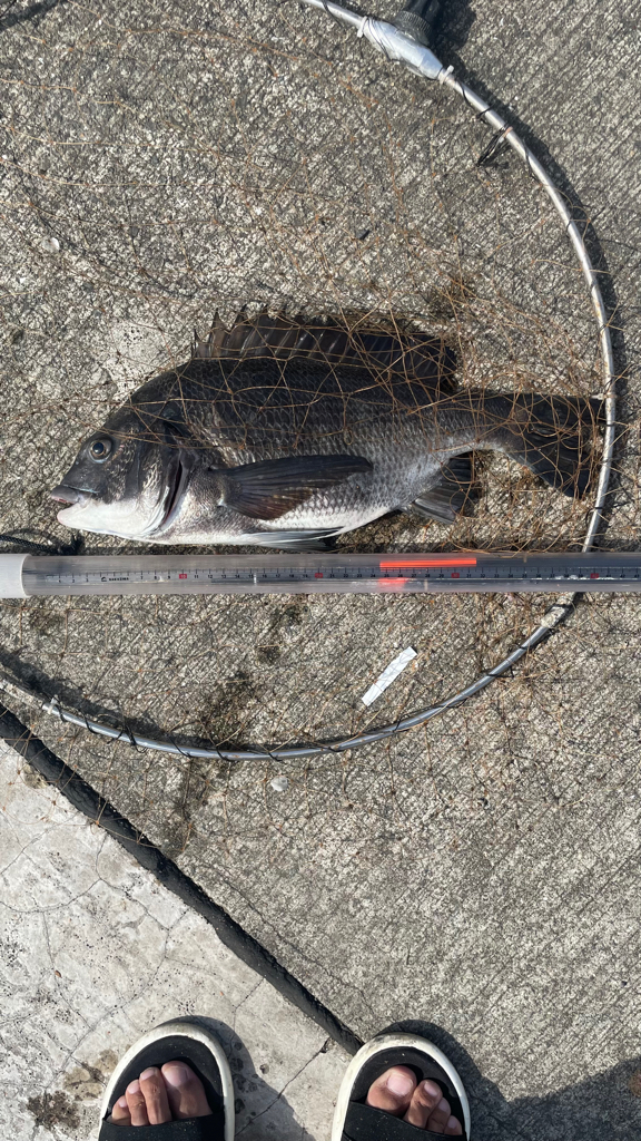 波止の足元フカセ