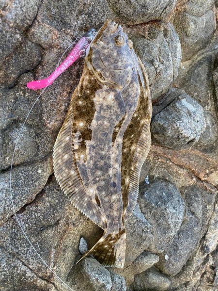 左向いてるー！