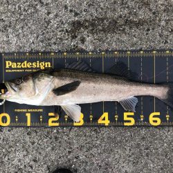 武庫川一文字で…