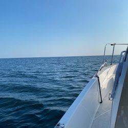 真鯛記録更新 初の70!