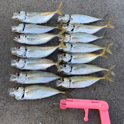 アジ釣り