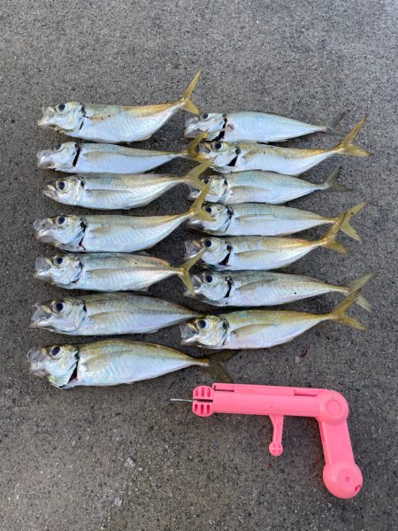 アジ釣り