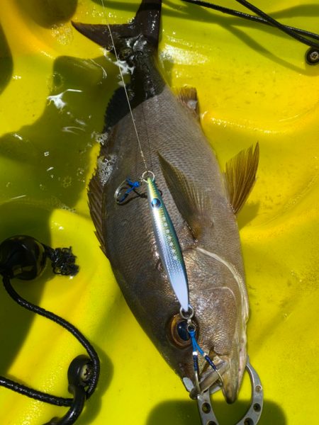 カヤックフィッシング