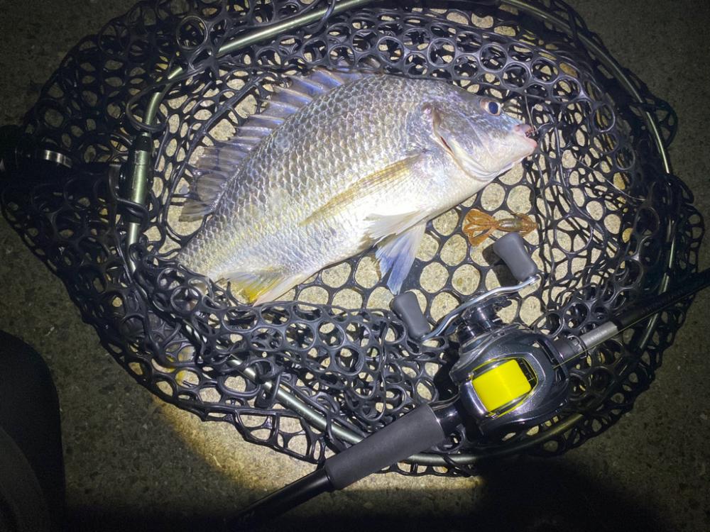 チニングは夜が涼しくて良い