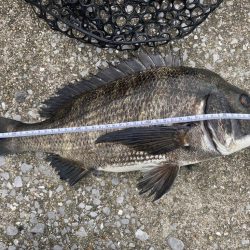 アタリの数だけなら過去最高に多かったチニン…