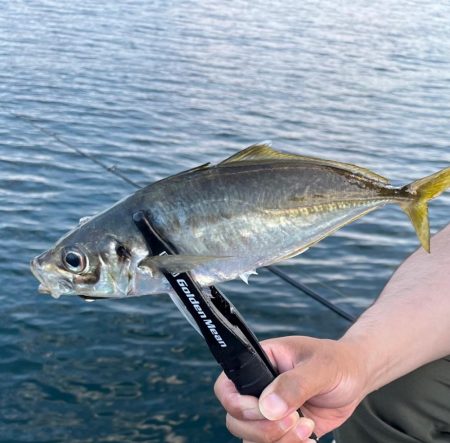 大きいサイズがよく釣れた日