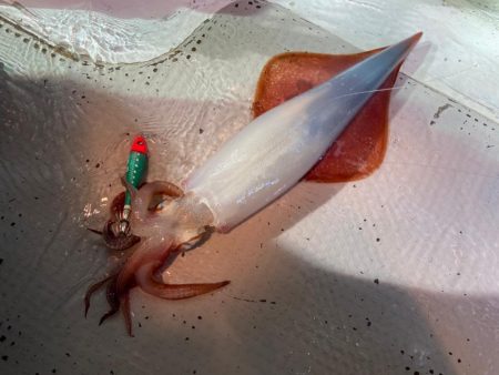 おとなの夜遊び深夜便