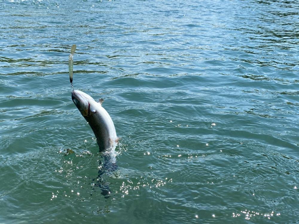 エリアトーナメント高島の泉